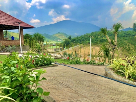 THANH LÝ 2 SÀO ĐẤT DIỆN TÍCH 2006M2 & 1343M2 - VIEW HỒ TRỊ AN - ĐỊNH QUÁN - ĐỒNG NAI