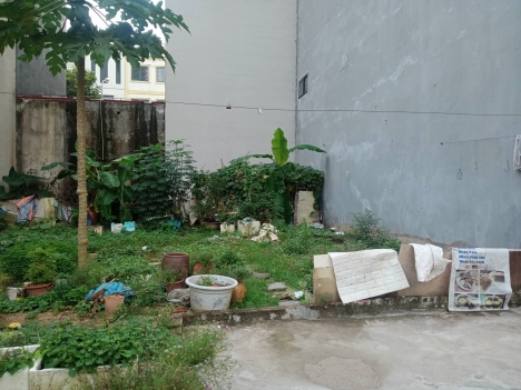 Bán Đất đấu giá Mậu Lương Hà Đông, 60m2, mt5m, kinh doanh, 6.5 tỷ