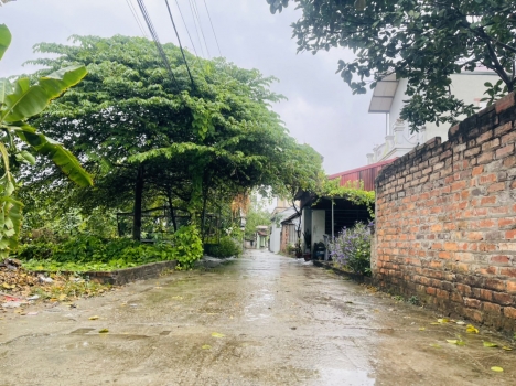 Hàng đẹp, lô góc 45m tại Mỹ Nội, Bắc Hồng, Đông Anh, Hà Nội