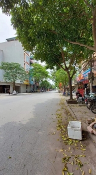 Bán Đất đấu giá Mậu Lương Hà Đông, 60m2, mt5m, kinh doanh, 6.5 tỷ