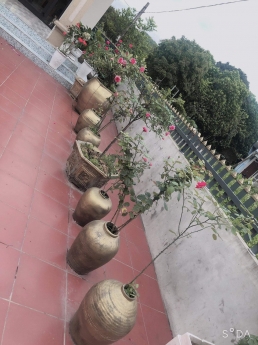 Chưa đến 2 tỉ bạc ko mua đây thì mua đâu.!? Diện tích sổ đỏ 735m2
cách đường 18 chỉ hơn 1km. Cách
