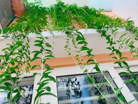 Nhà đẹp 2 lầu, 3 phòng ngủ ngay ngã 3 Tân Hương và Độc lập. Giá 6.5tỷ TL