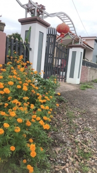 Chưa đến 2 tỉ bạc ko mua đây thì mua đâu.!? Diện tích sổ đỏ 735m2
cách đường 18 chỉ hơn 1km. Cách