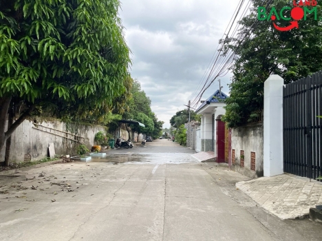Bán nhà cấp 4, rộng đẹp, xây ở, 370m2, SHR, đường xe hơi, p. Tân Phong, Biên Hoà
