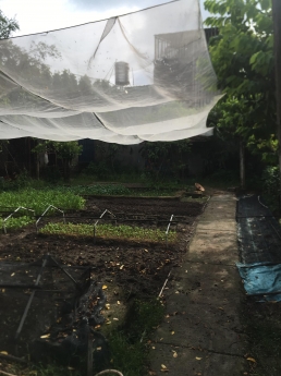 Quá rẻ đi xem ngay, Chỉ 15tr.m2 nhà xe hơi 1000m2, Trần Văn Mười, XTT, HM