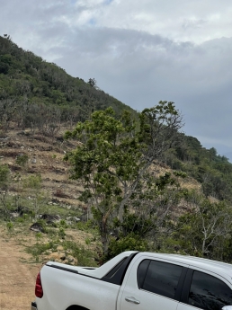 Đất săn mây view lung linh ở Vĩnh Phương, Nha Trang