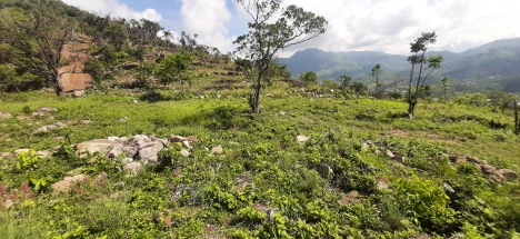 Đất săn mây view lung linh ở Vĩnh Phương, Nha Trang