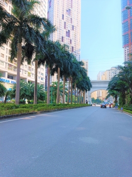 Bán Biệt thự Quận Hà Đông, KĐT An Hưng: DT310M – 3Tầng – MT12m: 48 Tỷ