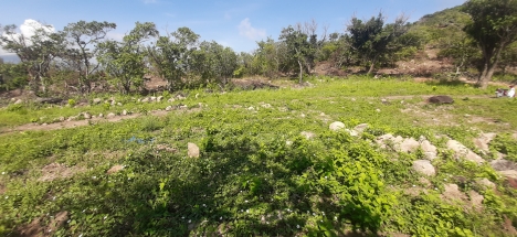 Đất săn mây view lung linh ở Vĩnh Phương, Nha Trang