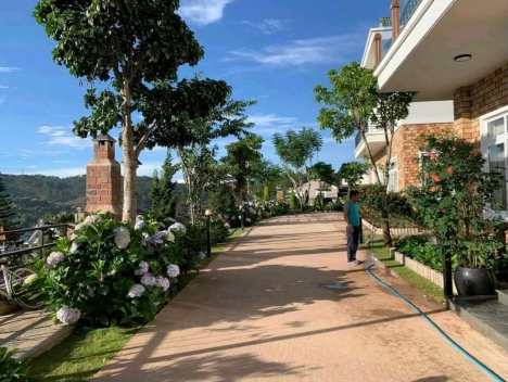 BÁN LÔ ĐẤT 2000 M2 TRUNG TÂM PHƯỜNG 3 ĐÀ LẠT