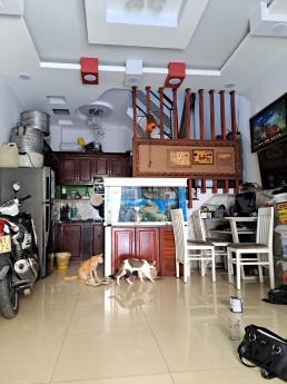 HXH Giá Rẻ Vườn Lài Tân Thành Tân Phú, 72m2, 4 Tầng, 6 PN, Chỉ 5,5 tỷ, Tặng Full NT.