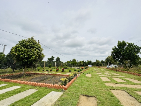 ĐẤT VƯỜN HỒ TRỊ AN 1000m2 SỔ HỒNG LA NGÀ ĐỊNH QUÁN ĐỒNG NAI