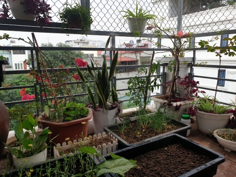 SIÊU PHẦM Nhà Ngọc Thụy 62mX5T dân xây Ôtô thông 5 tỷ trong đê