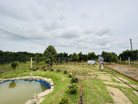 VƯỜN GLAMPING HỒ TRỊ AN VIEW ĐẸP NHẤT KHU VỰC LA NGÀ ĐỊNH QUÁN