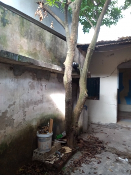 THANH LÝ NHANH 35,5M ĐẤT NGÕ 18 TẢ THANH OAI THANH TRÌ HÀ NỘI