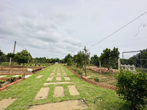 ĐẤT VƯỜN HỒ TRỊ AN 1000m2 SỔ HỒNG LA NGÀ ĐỊNH QUÁN ĐỒNG NAI