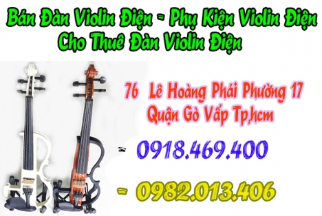 Nơi bán đàn violin điện tại tphcm, gò vấp, tp.hồ chí minh