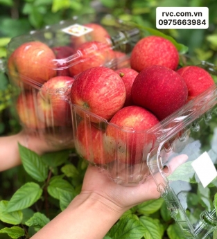 Chuyên sỉ hộp nhựa đựng táo trên toàn quốc