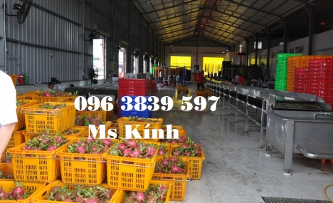 Sóng nhựa có quai sắt, sóng thanh long, sọt nhựa đựng trái cây siêu bền giá rẻ