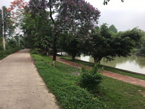 Bán đất nền xã Cổ Loa Đông Anh 117m xóm Mít giá 2x