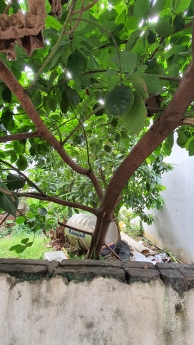 BÁN ĐẤT SÁT CHỢ PHÚ ĐÔ - MẶT TIỀN 5M GIÁ CHỈ 40 triệu/m2 - ĐƯỜNG SH QUAY ĐẦU