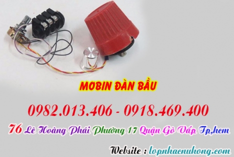 Địa chỉ nơi bán mobin đàn bầu tại tphcm, gò vấp