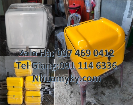 Thùng ship hàng giữ nhiệt, Thùng giao bưu phẩm Thùng giao hàng hỏa tốc Thùng chở hàng giữ nhiệt đa