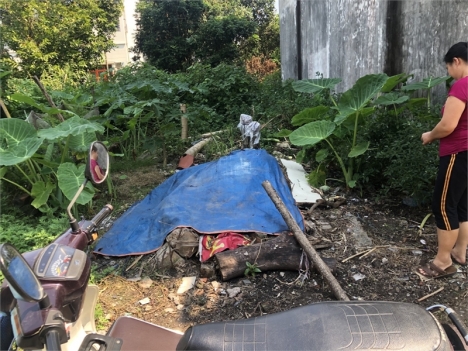 2,4 TỶ BÁN NHANH 77M ĐẤT TỔ 9 HÀ ĐÔNG