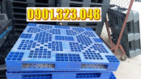 Pallet nhựa Bắc Tân Uyên, Bình Dương