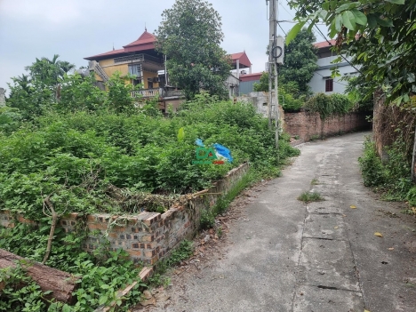 Bán đất xóm Thượng Uy Nỗ Đông Anh 71.5m Đường thông Ô tô vào sát bìa