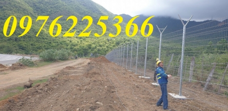 Hàng rào lưới thép sơn tĩnh điện ,hàng rào mạ kẽm