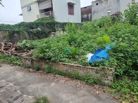 Bán đất xóm Thượng Uy Nỗ Đông Anh 71.5m Đường thông Ô tô vào sát bìa