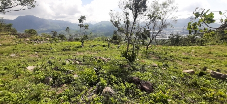 Đất Nha Trang view cao săn mây đẹp lung linh 5.400m² giá chỉ 1 tỷ