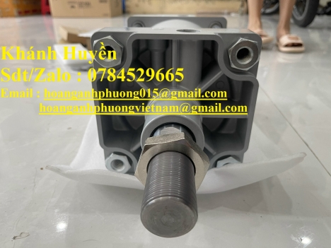 Xy lanh Festo DSBG-160-100-PPVA-N3 hàng chính hãng , giá tốt