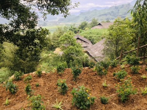 Bán đất Sapa View thung lũng rất đẹp gần biệt thự ven núi