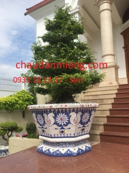Cơ sở chậu hoa thế sơn - chậu hoa dán sành sứ - chậu khảm sành - cẩn miễng DFSDF