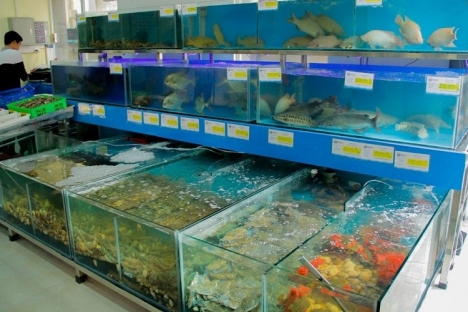 Bán Nhà Mặt Tiền KD Đỉnh Lạc Long Quân,Tân Bình,50M2,Ngang Đẹp 5m,chỉ 9Tỷ9
