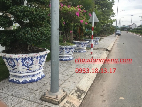 Cơ sở chậu hoa thế sơn - chậu hoa dán sành sứ - chậu khảm sành - cẩn miễng DFSDF