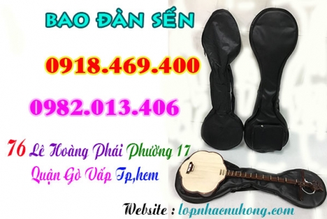 Địa chỉ nơi bán bao da, bao vải dù cho đàn sến tại gò vấp, tphcm