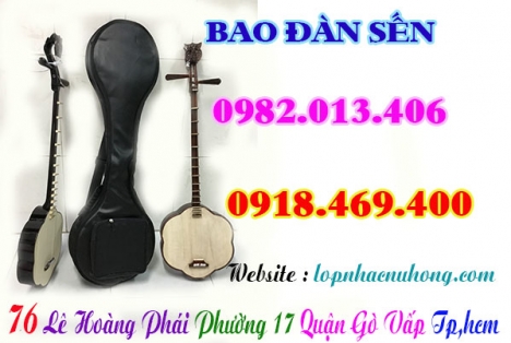 Địa chỉ nơi bán bao da, bao vải dù cho đàn sến tại gò vấp, tphcm
