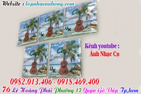 Địa chỉ nơi bán dây đàn ukulele tại gò vấp, tphcm