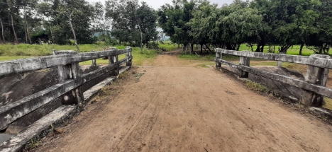 Vườn bưởi và Dừa Xiêm ở Ninh Sơn, Tx. Ninh Hoà 8,6 hecta giá chỉ 8,6 tỷ
