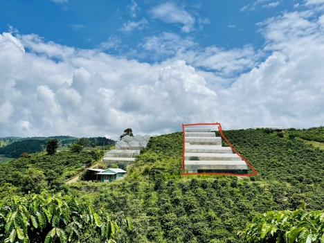 Kẹt tiền giảm giá bán gấp lô đất rộng view đẹp tại Tà Nung, Đà Lạt 2514m2 giá tốt chỉ 4.2 tỷ