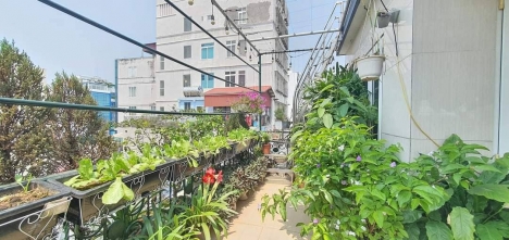 Homestay 7 tầng phố Bồ Đề - Ô tô - Thang máy - View sông – Dòng tiền khủng.