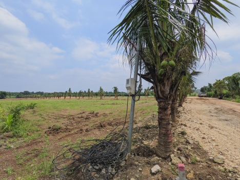 Đất sào Cẩm Mỹ cách sân bay quốc tế Long Thành 40km