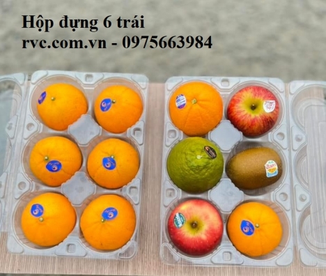 Hộp nhựa đựng 6 trái cam, táo đạt chuẩn an toàn thực phẩm