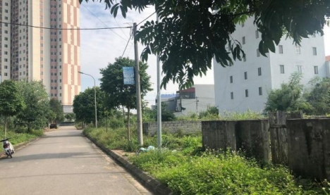 150M MẶT TIỀN 8.11M TÁI ĐỊNH CƯ BẮC PHÚ CÁT GIÁ BÁN NHANH 33TR/M