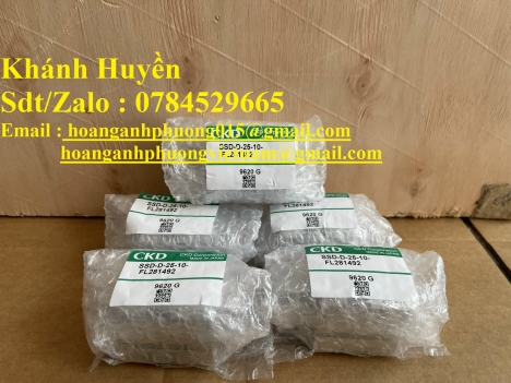 Xy lanh SSD-D-25-10-FL281492 hãng CKD hàng new nhập khẩu