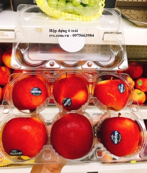 Hộp nhựa đựng 6 trái cam, táo đạt chuẩn an toàn thực phẩm