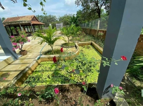 CẦN TIỀN MỞ TIỆM SPA CHO VỢ CON - BÁN GẤP 3 SÀO ĐẤT ĐẸP SÁT HỒ TRỊ AN - SÔNG LA NGÀ - ĐỒNG NAI